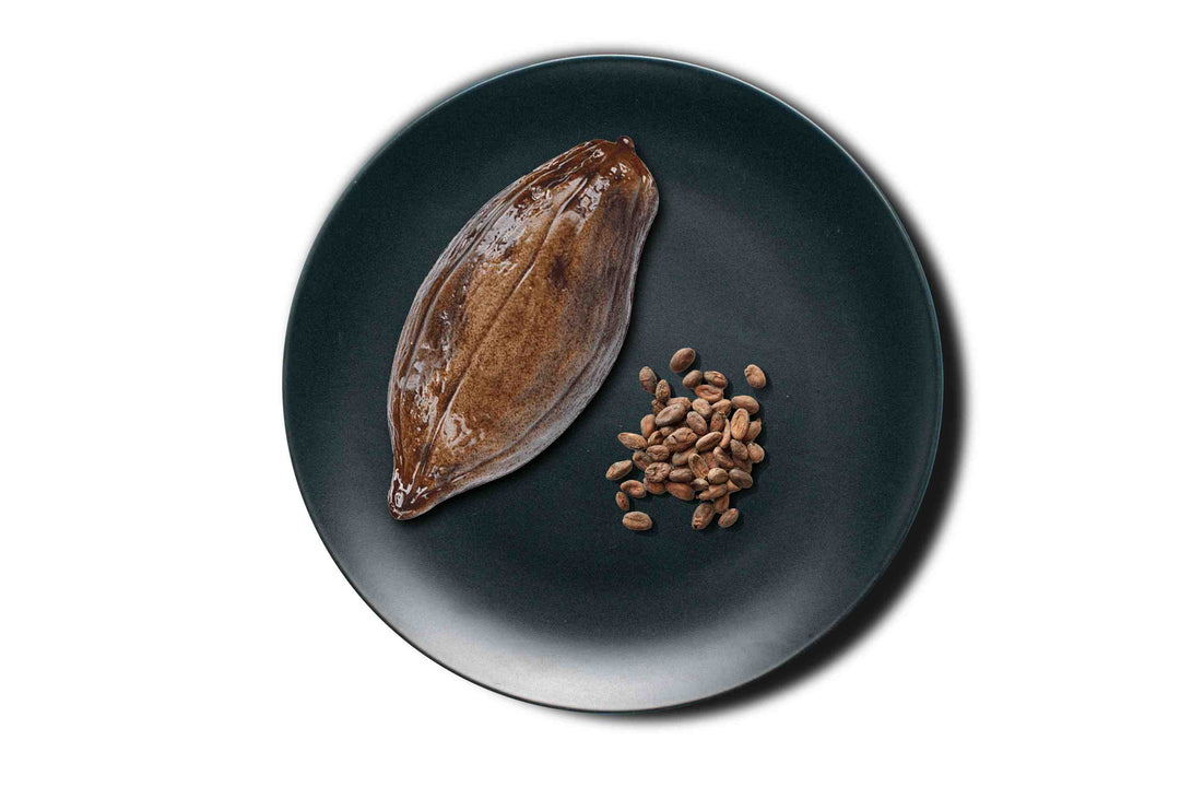 Vorg Cacao